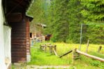 2014-07-05_Laengental-N-Hochweg (358)b. JPG